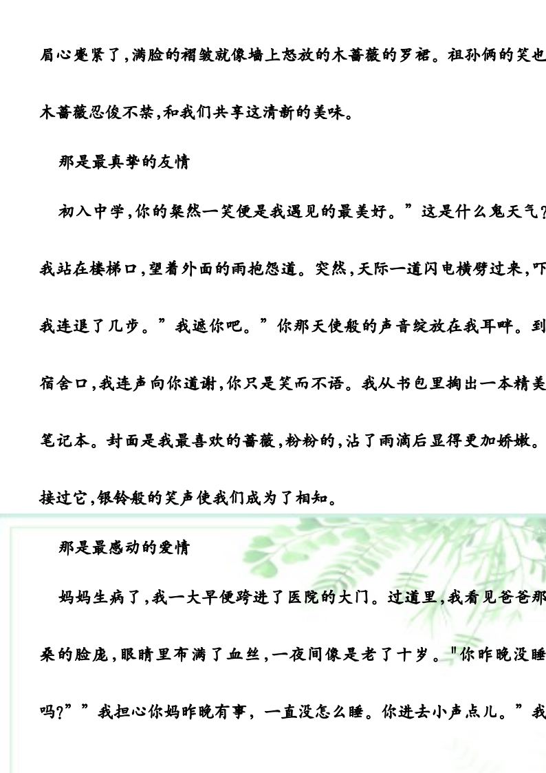 资料预览 第2页