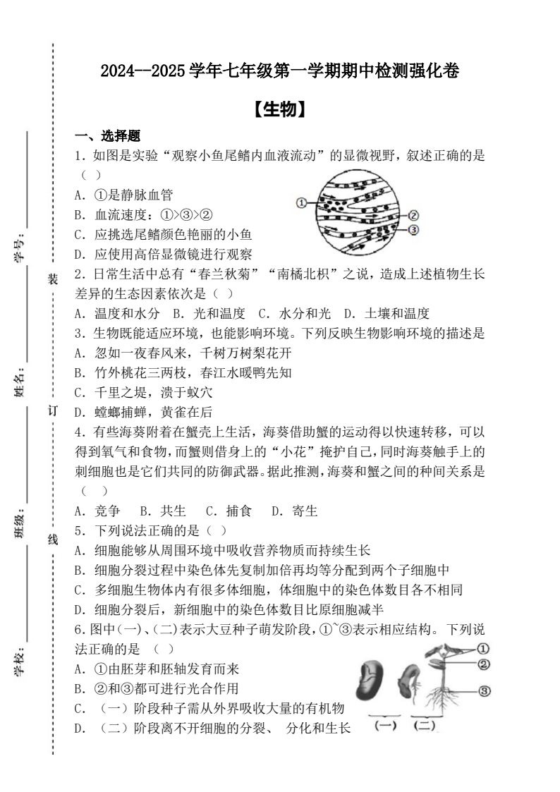 资料预览 第1页