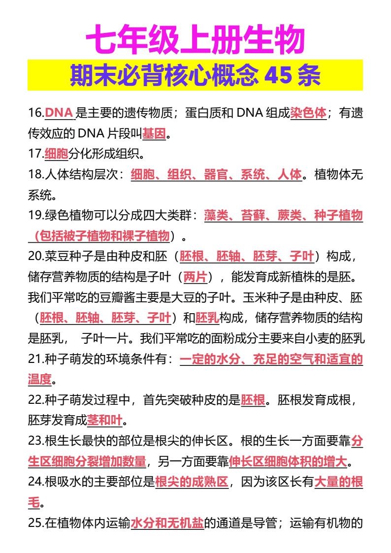资料预览 第1页