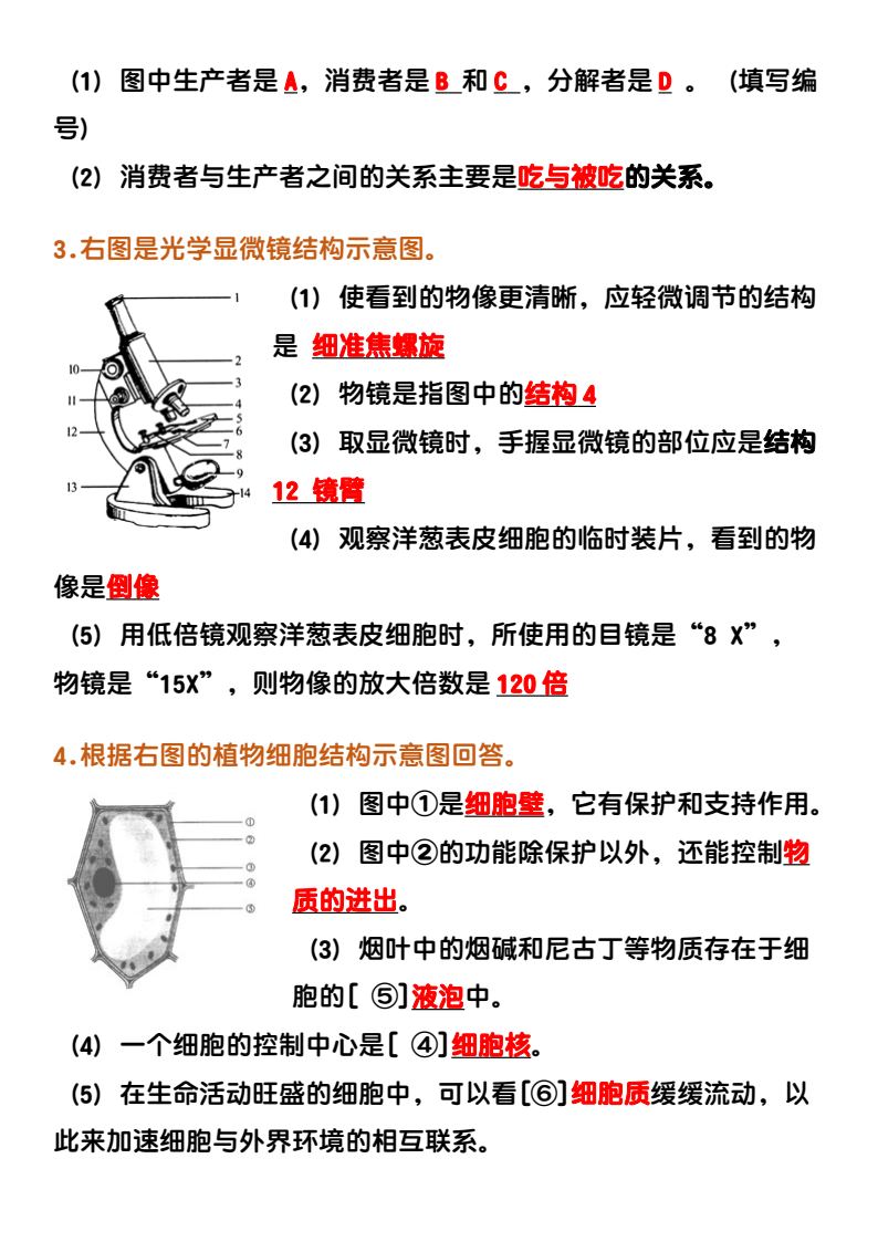 资料预览 第2页