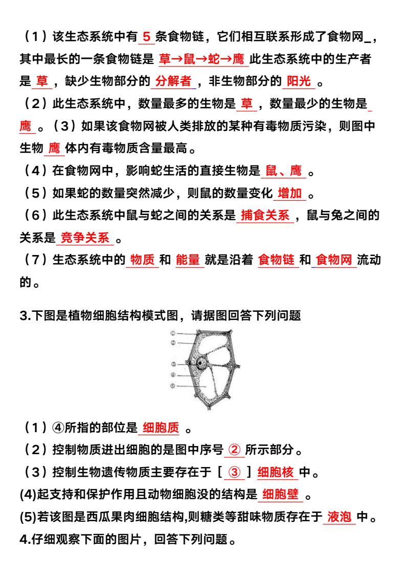 资料预览 第2页