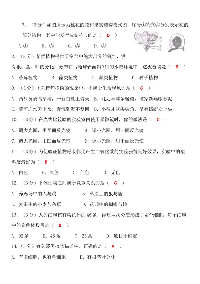 资料预览 第2页