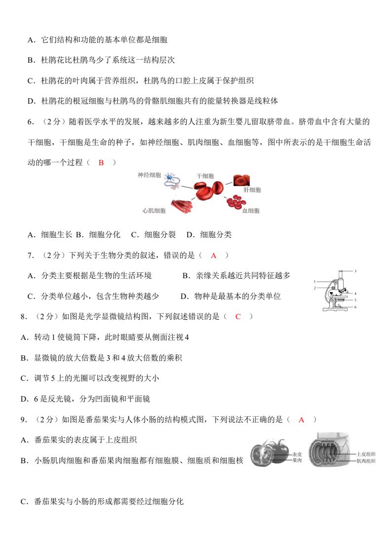 资料预览 第2页