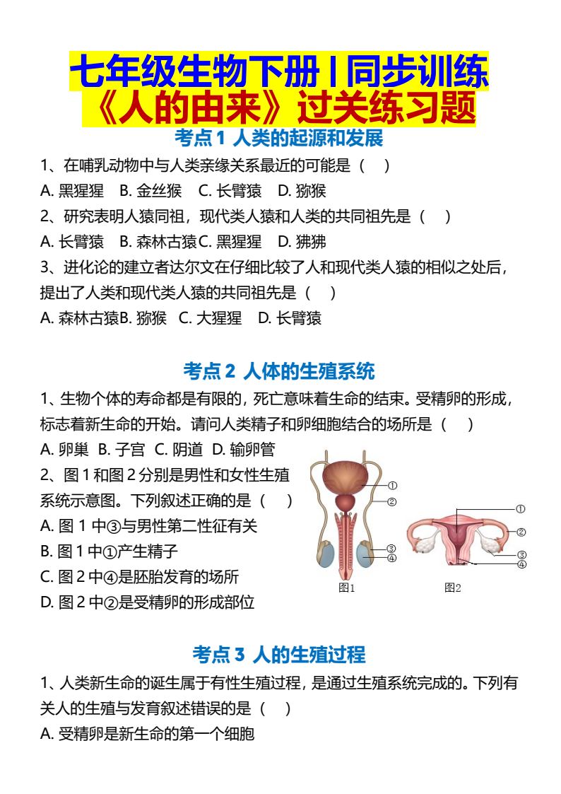 资料预览 第1页