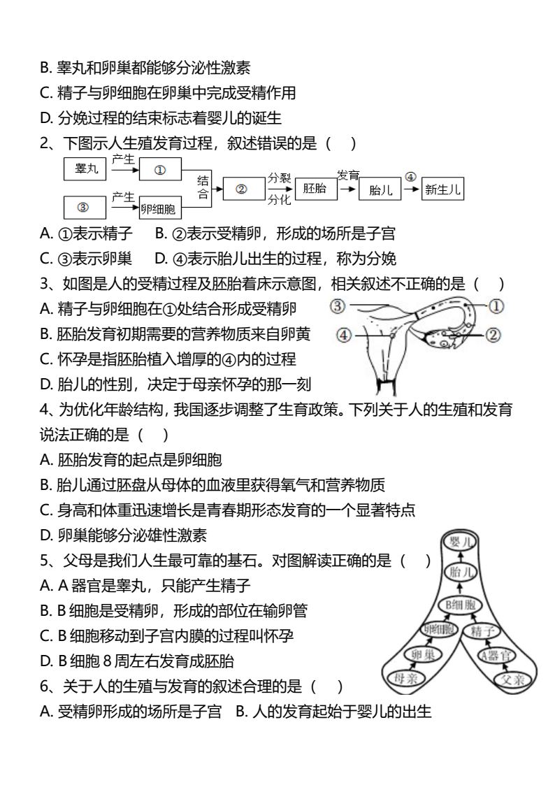 资料预览 第2页