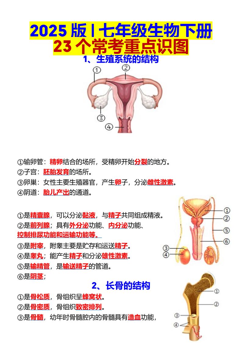 资料预览 第1页