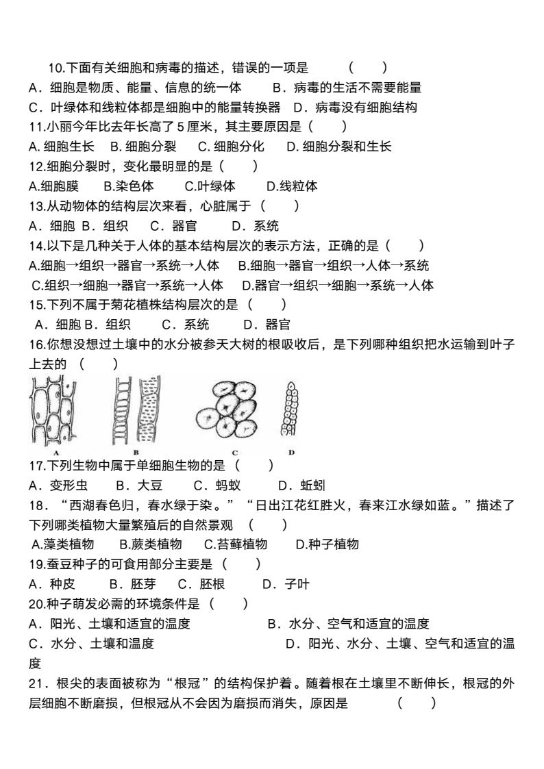 资料预览 第2页