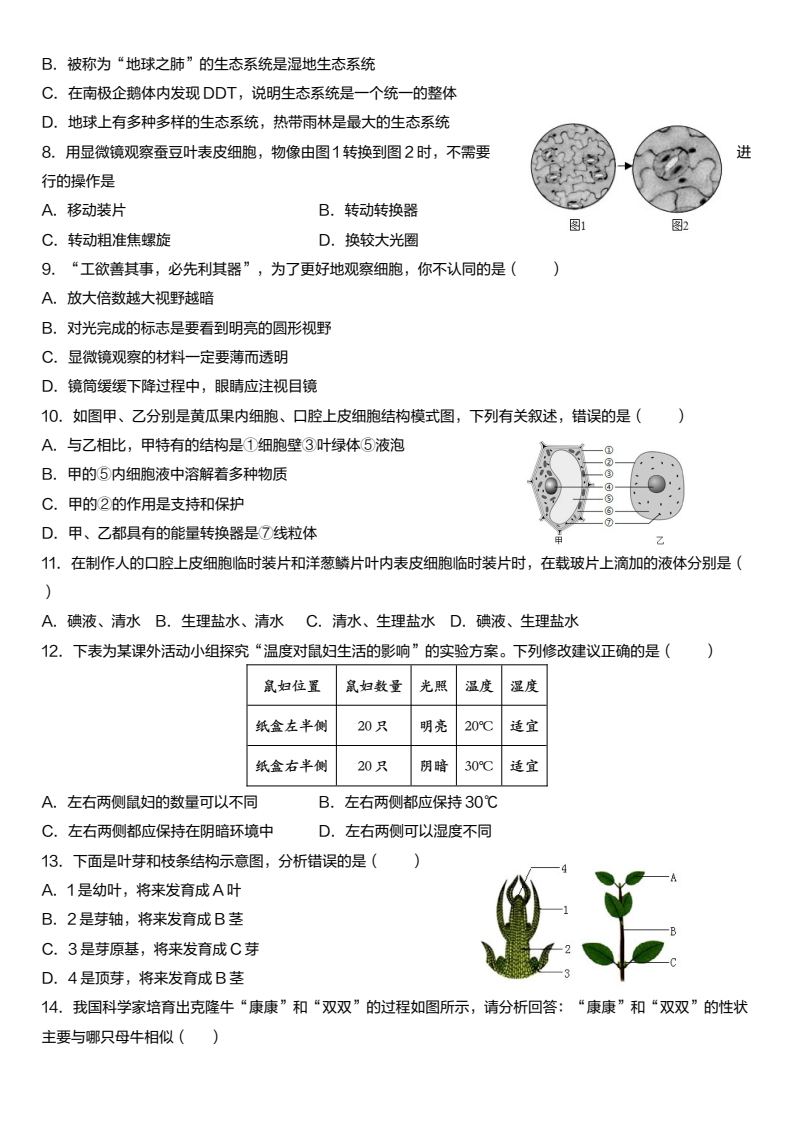 资料预览 第2页