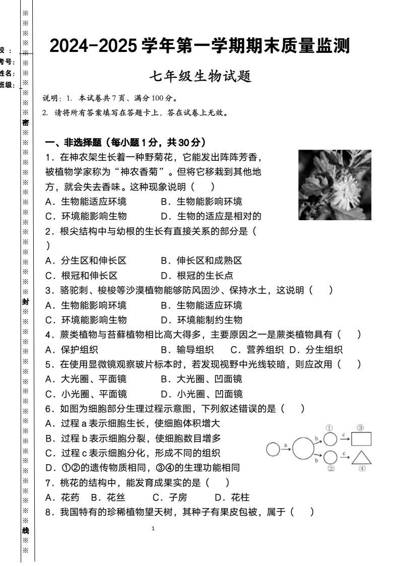 资料预览 第1页