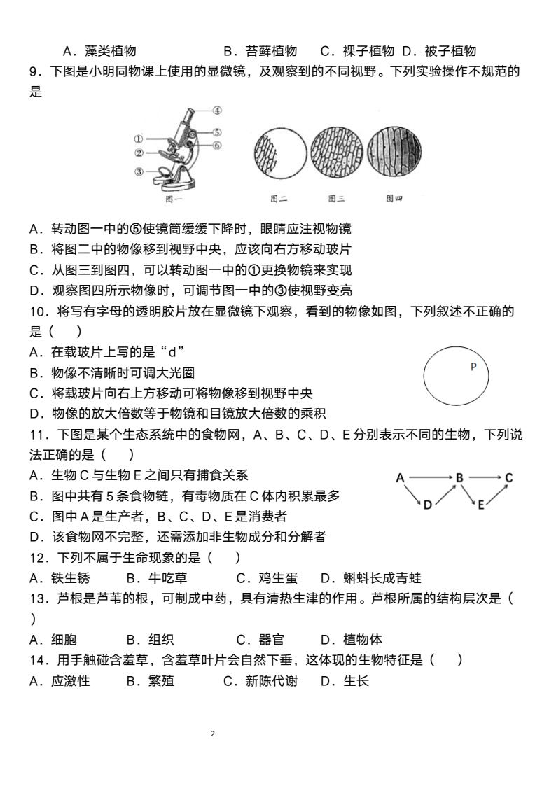 资料预览 第2页