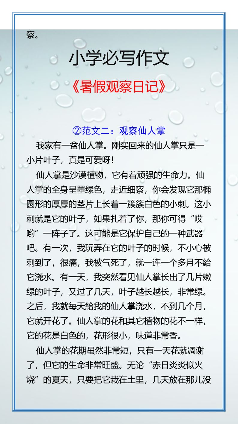 资料预览 第2页