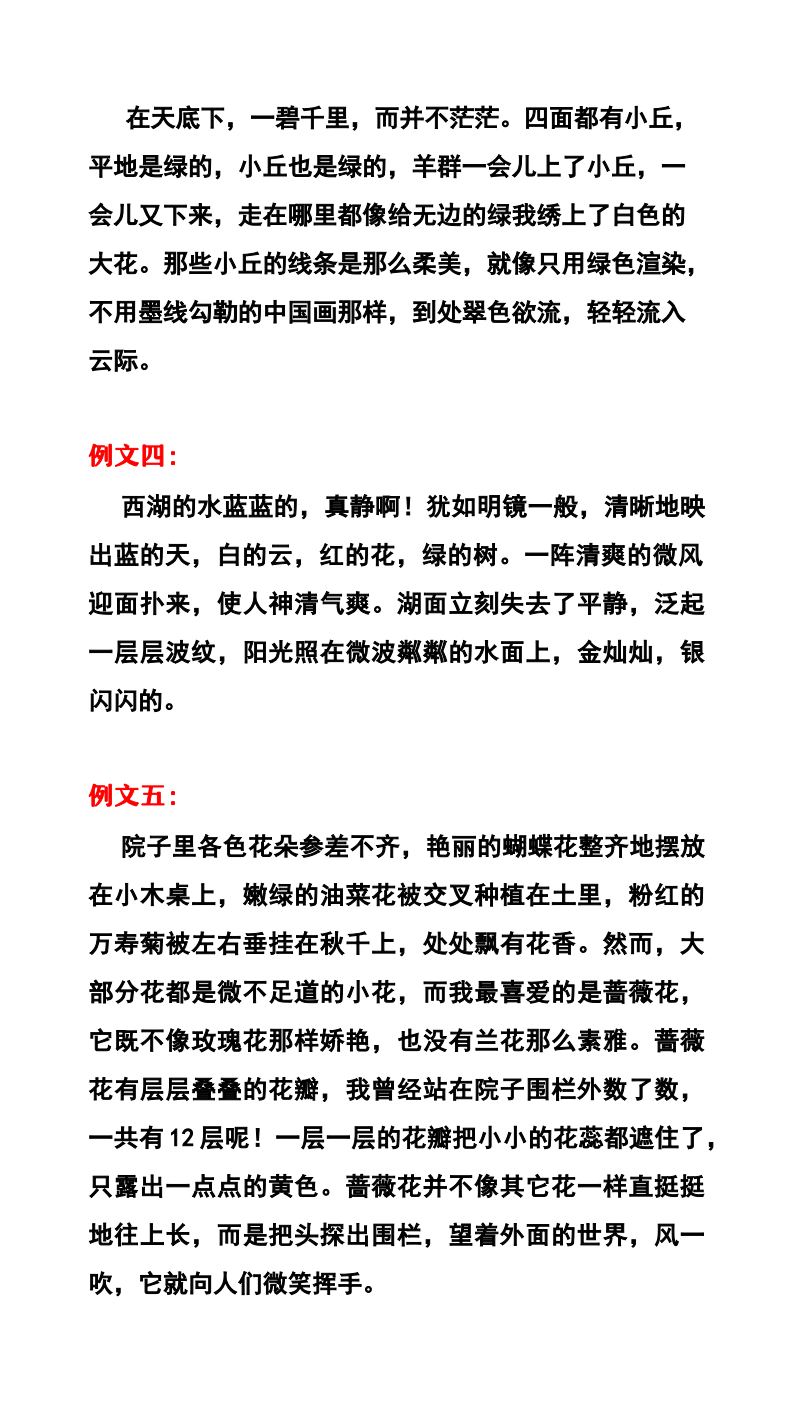 资料预览 第2页