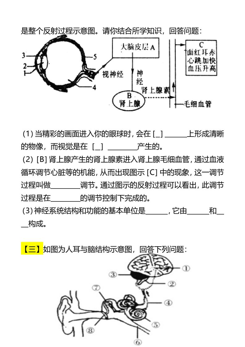 资料预览 第2页