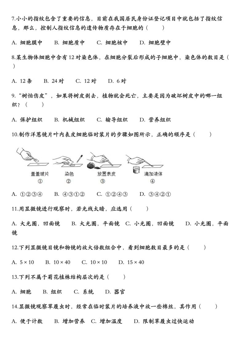 资料预览 第2页