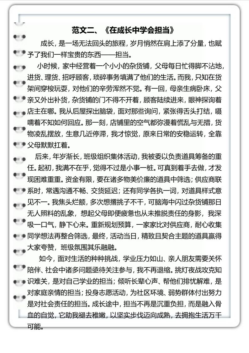 资料预览 第2页