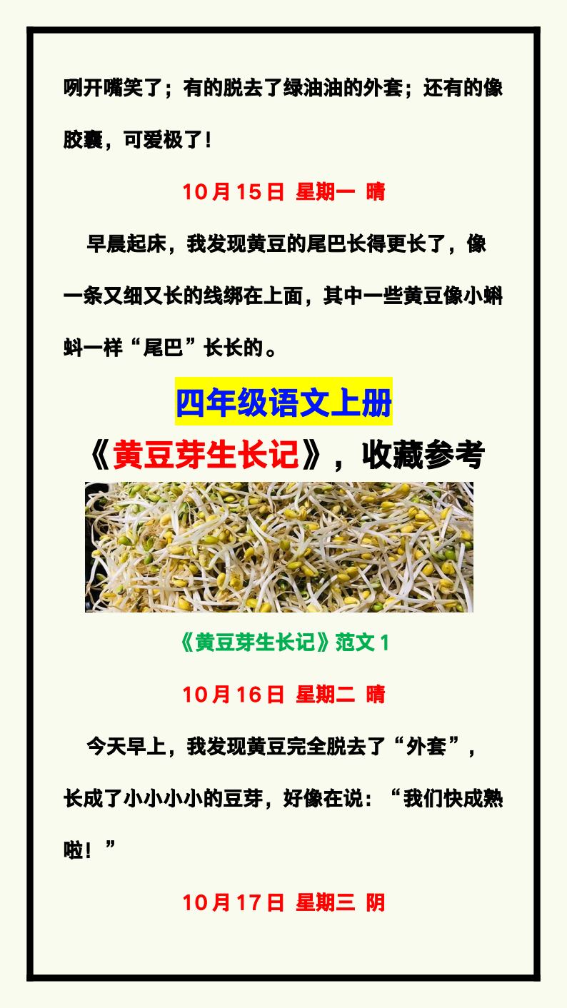 资料预览 第2页