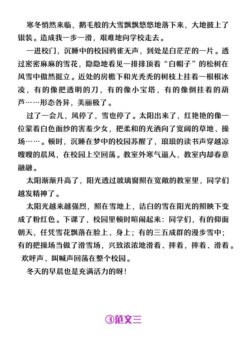 资料预览 第2页