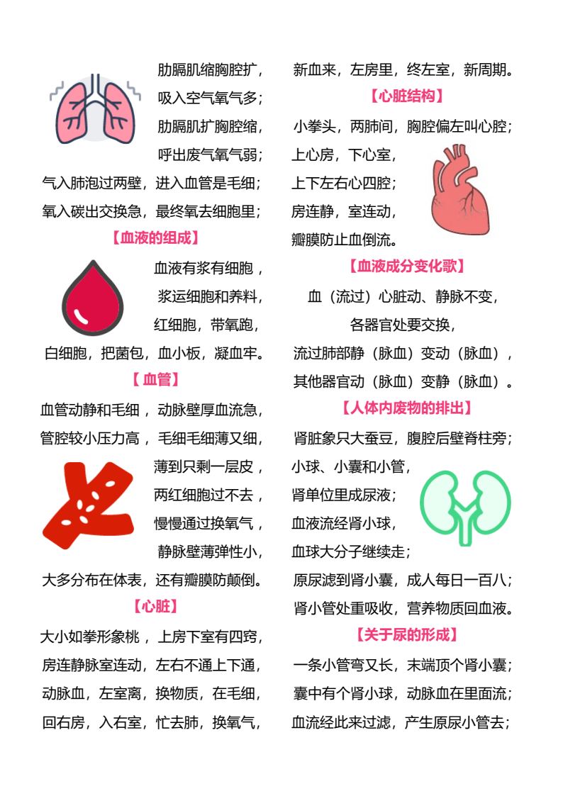 资料预览 第2页
