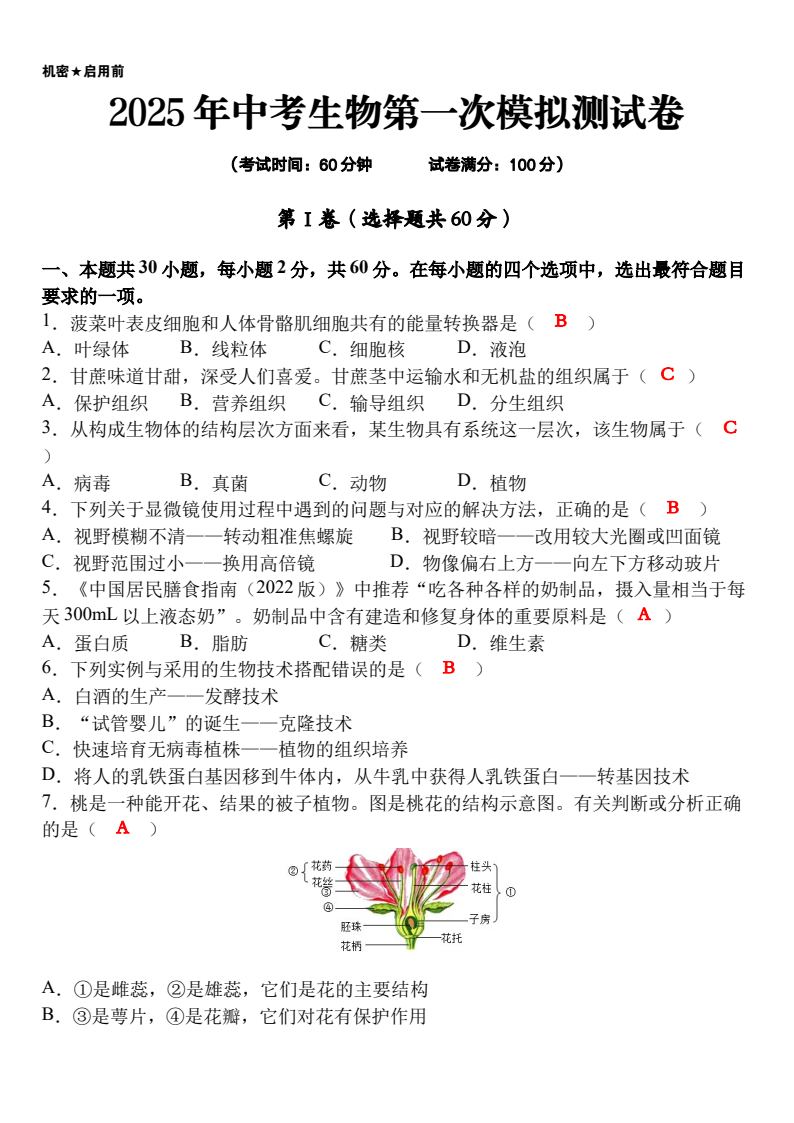 资料预览 第1页