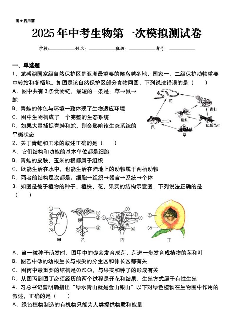 资料预览 第1页