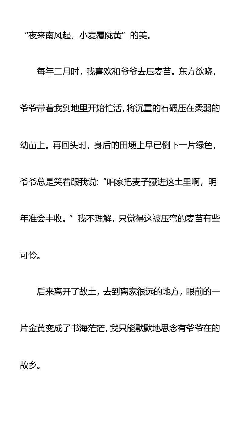 资料预览 第2页