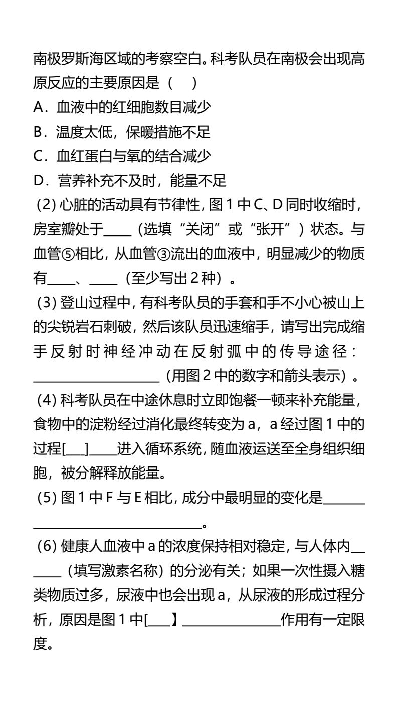 资料预览 第2页
