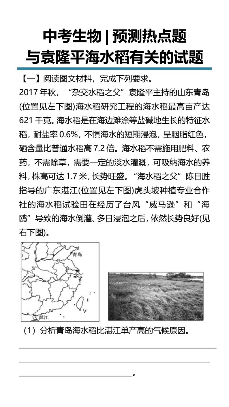 资料预览 第1页