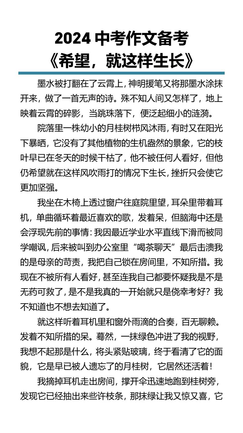 资料预览 第1页