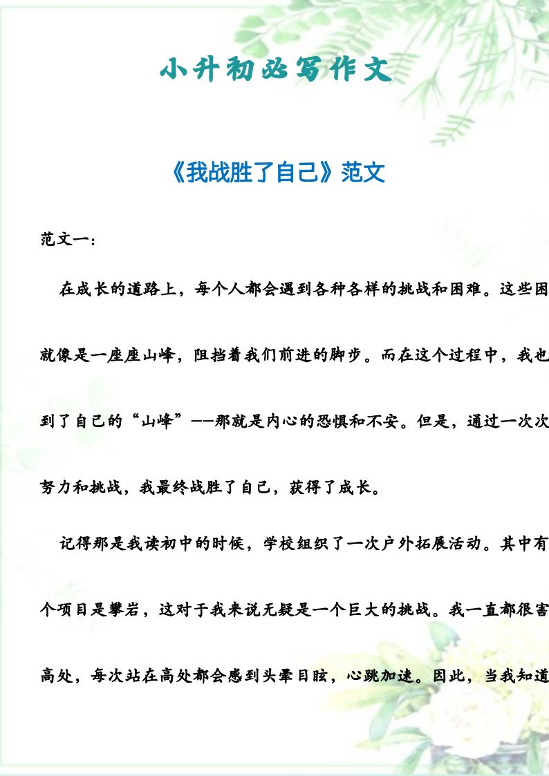 资料预览 第1页