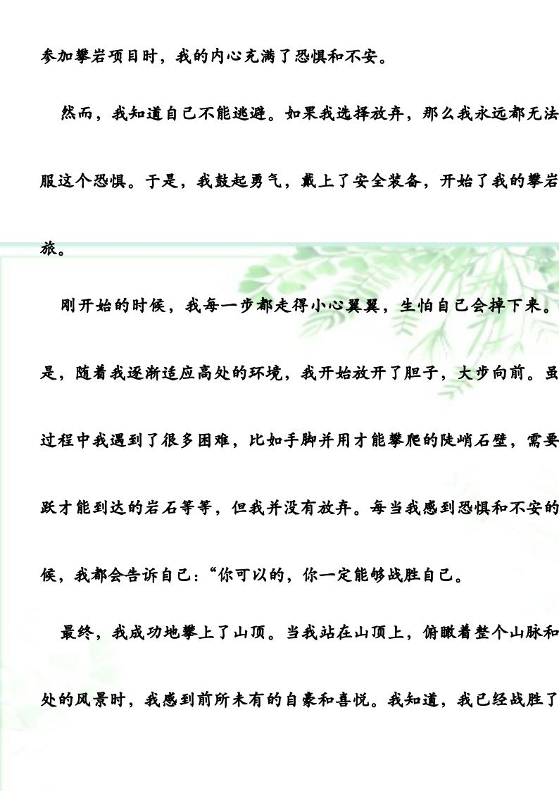 资料预览 第2页