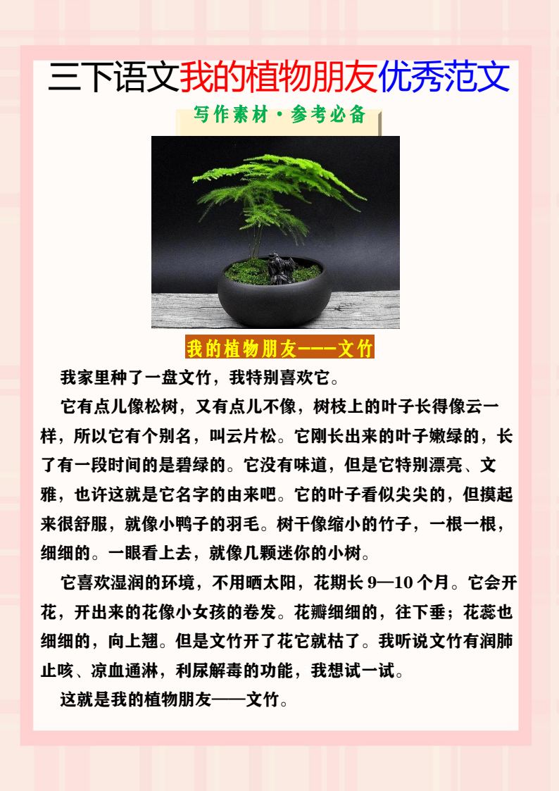 资料预览 第2页