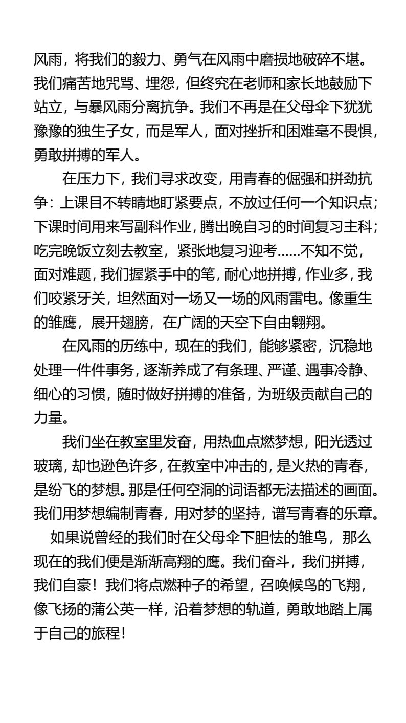 资料预览 第2页