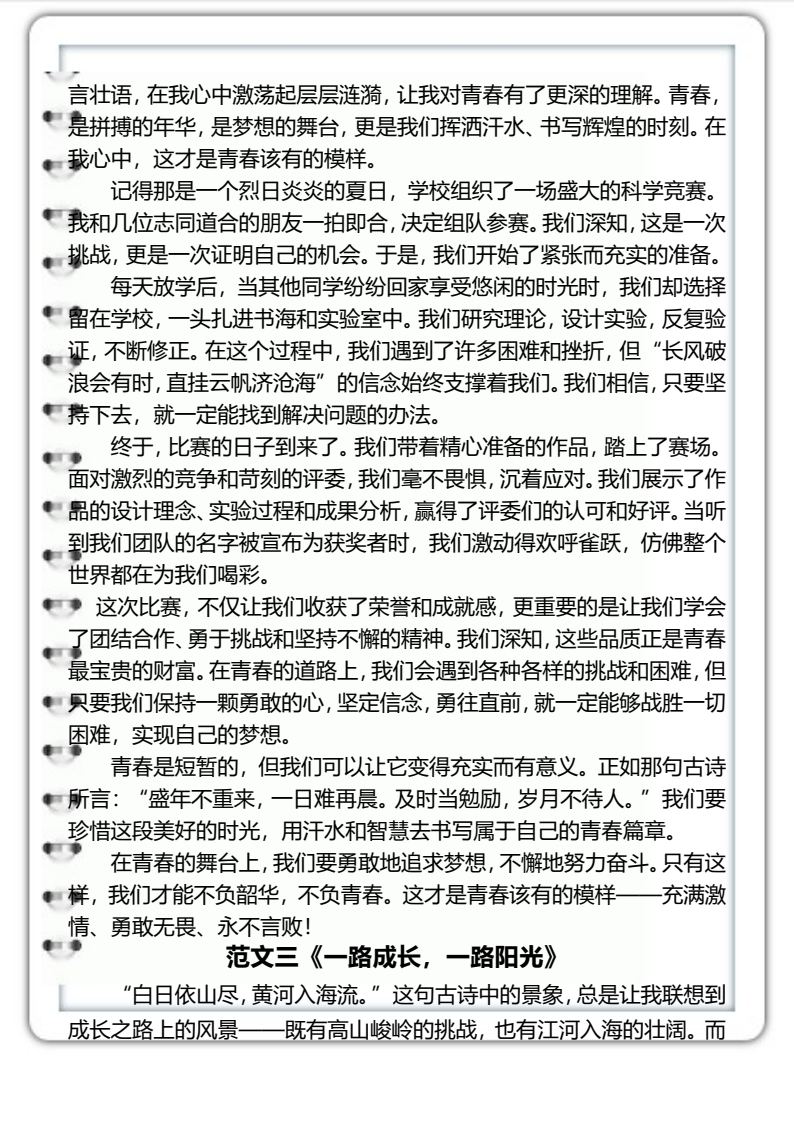 资料预览 第2页
