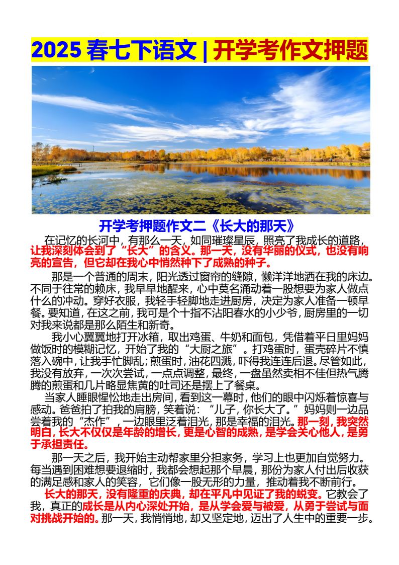 资料预览 第2页