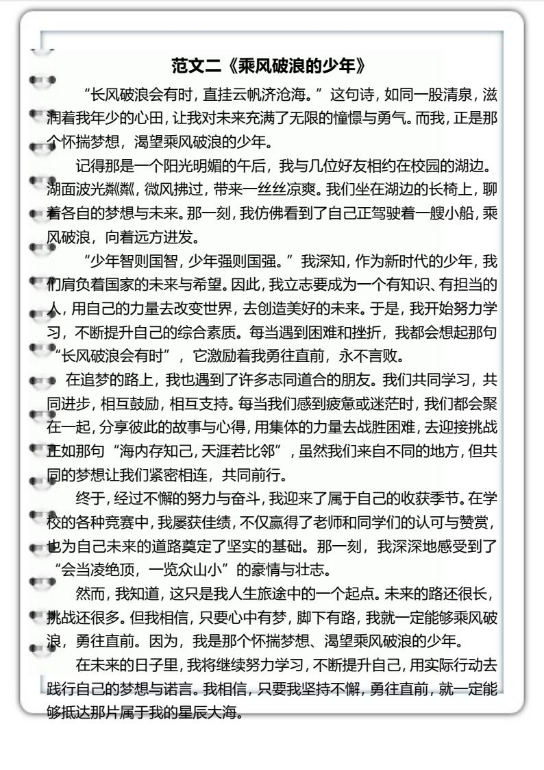 资料预览 第2页
