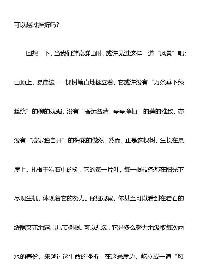资料预览 第2页
