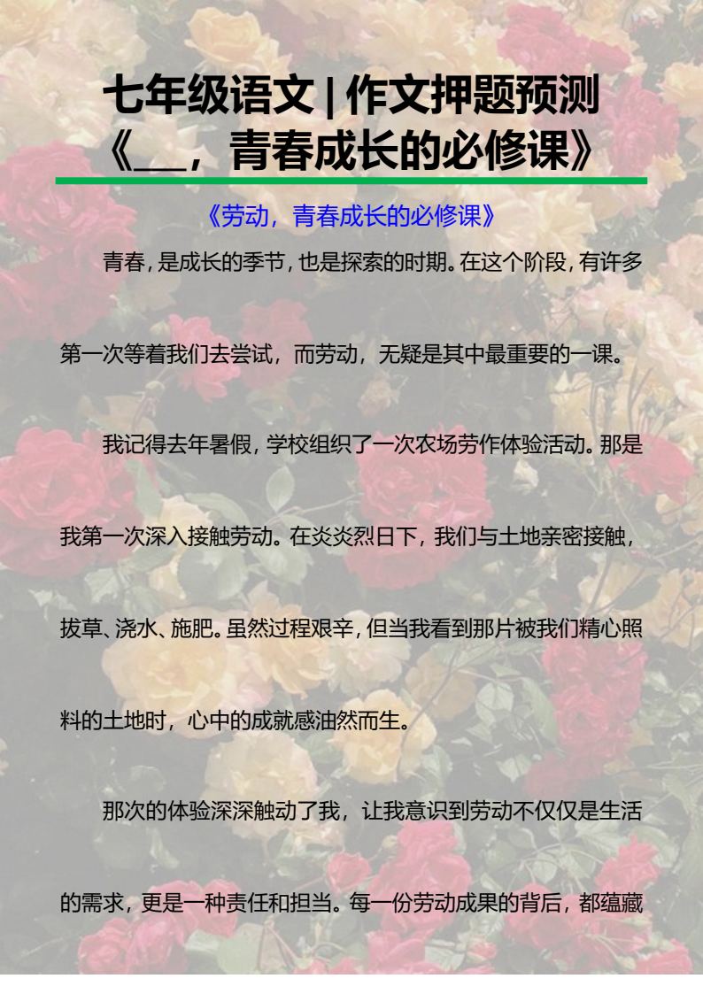 资料预览 第1页