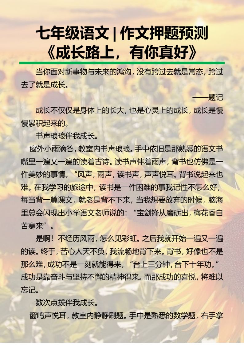资料预览 第1页