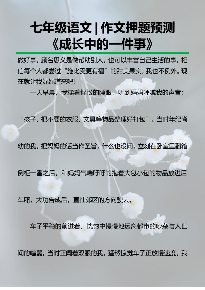 资料预览 第1页