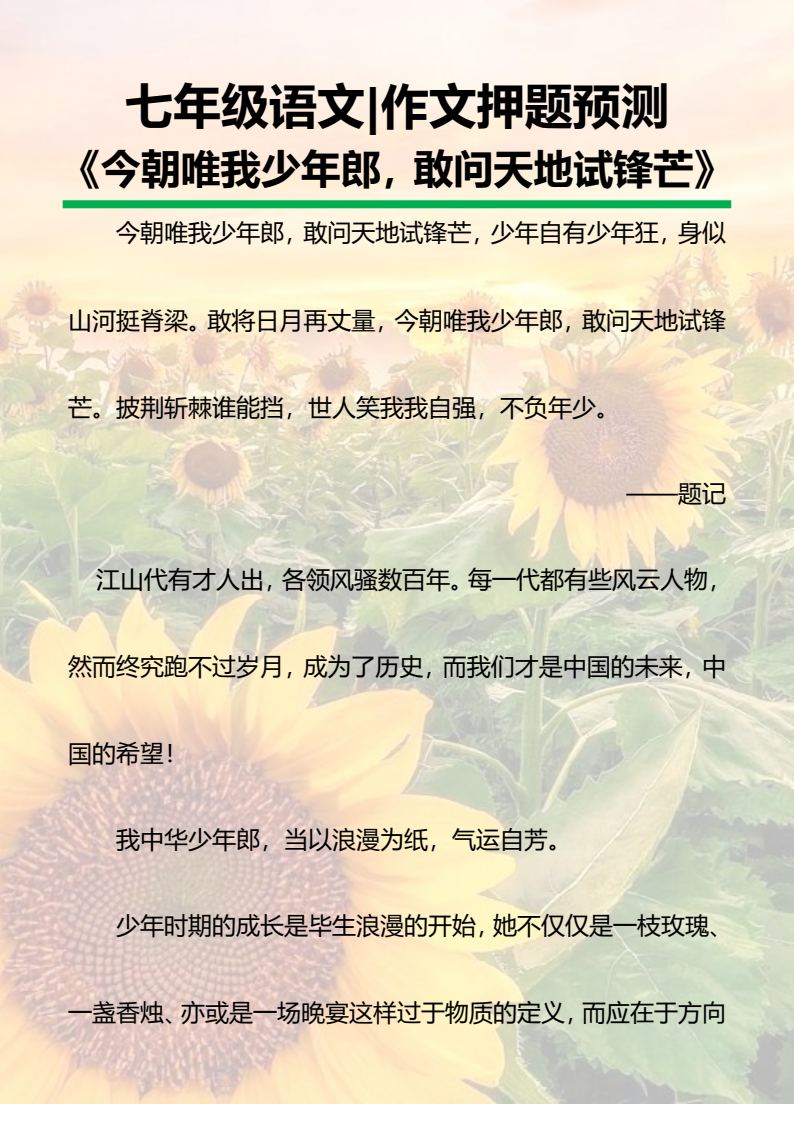资料预览 第1页