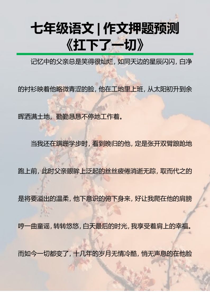 资料预览 第1页
