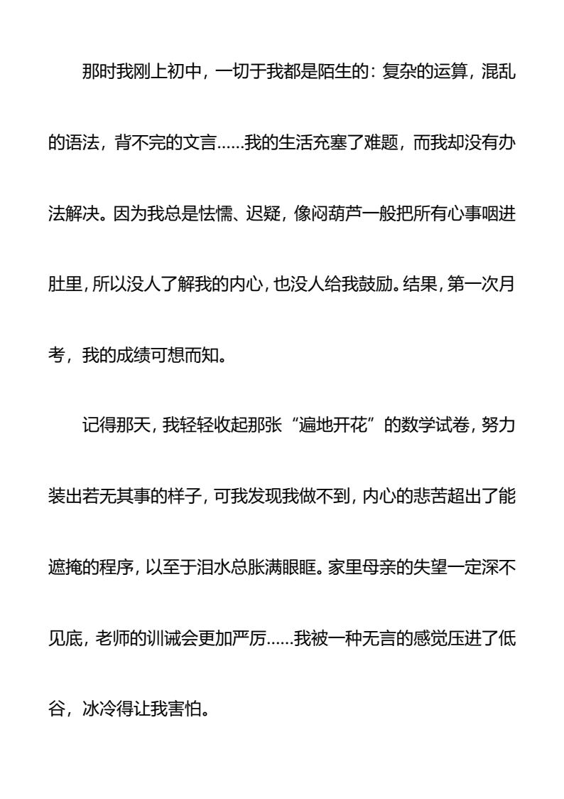 资料预览 第2页