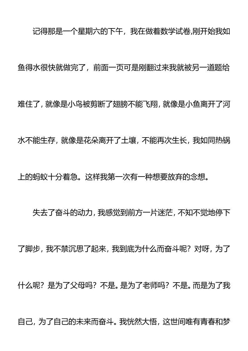 资料预览 第2页
