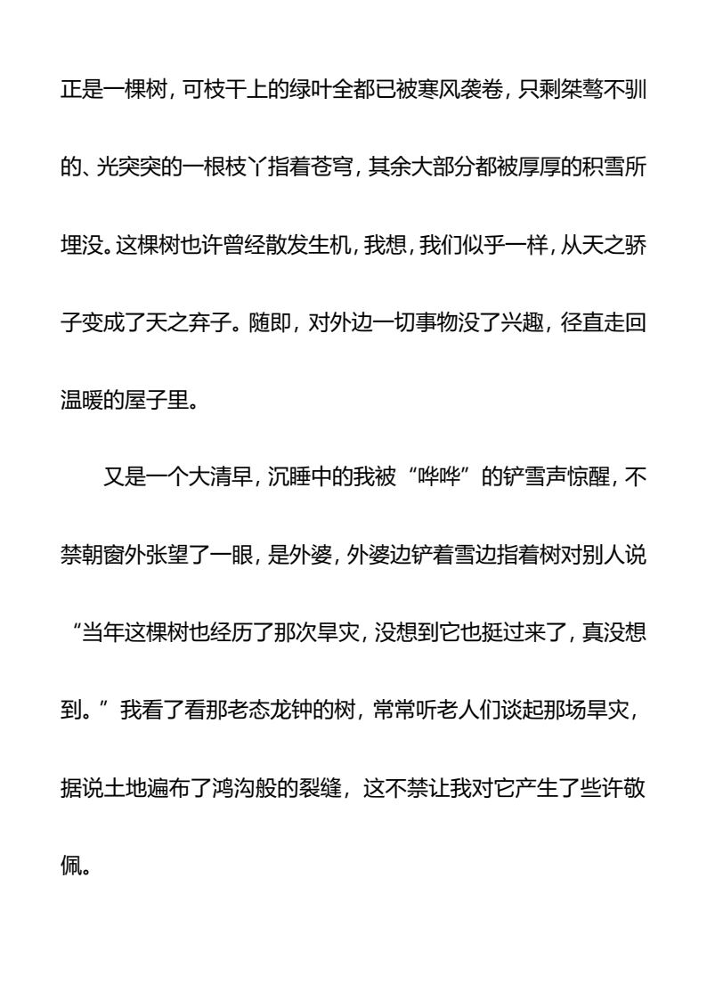 资料预览 第2页