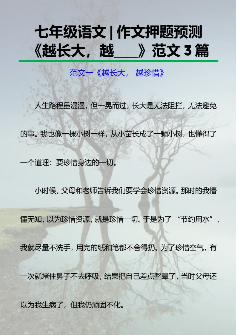 资料预览 第1页