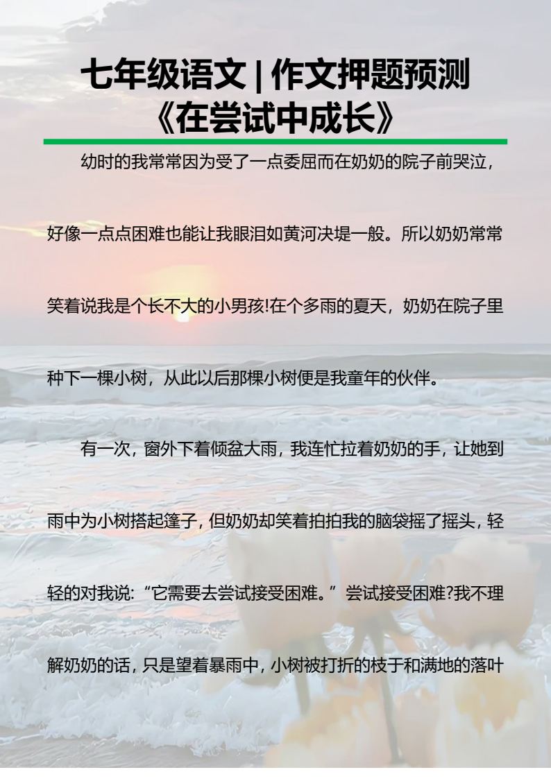 资料预览 第1页