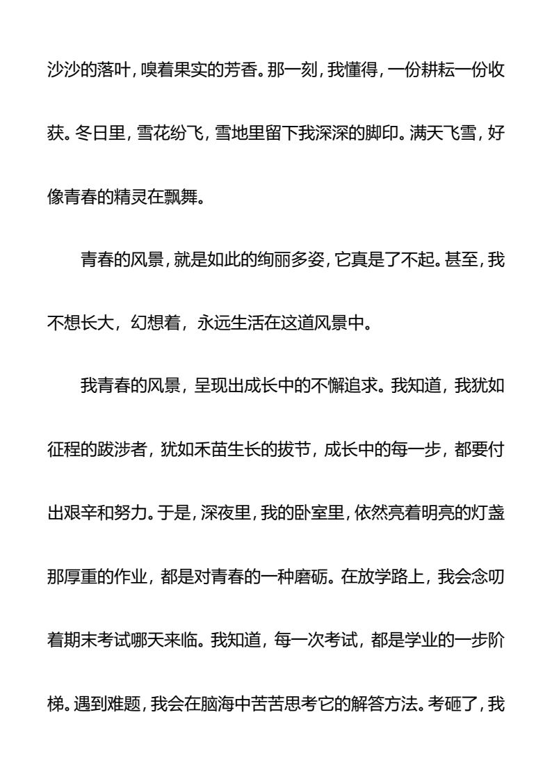 资料预览 第2页