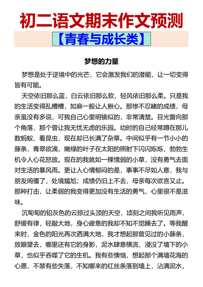 资料预览 第1页