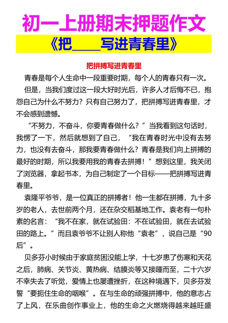资料预览 第1页