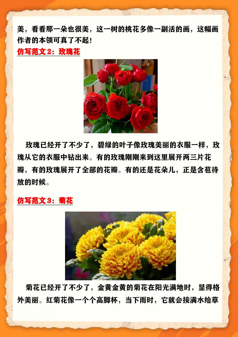 资料预览 第2页
